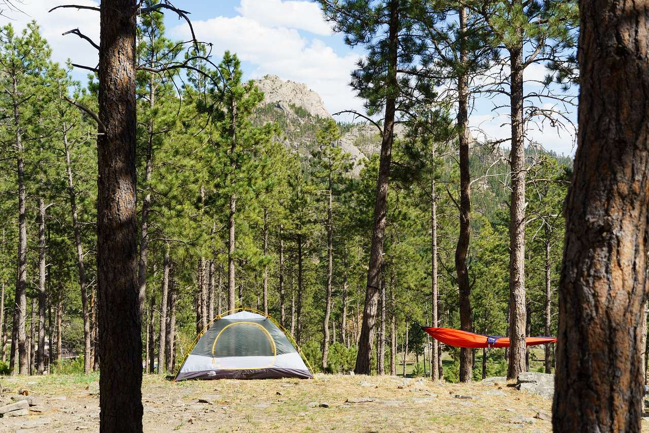 Hill City/Needles Hwy KOA