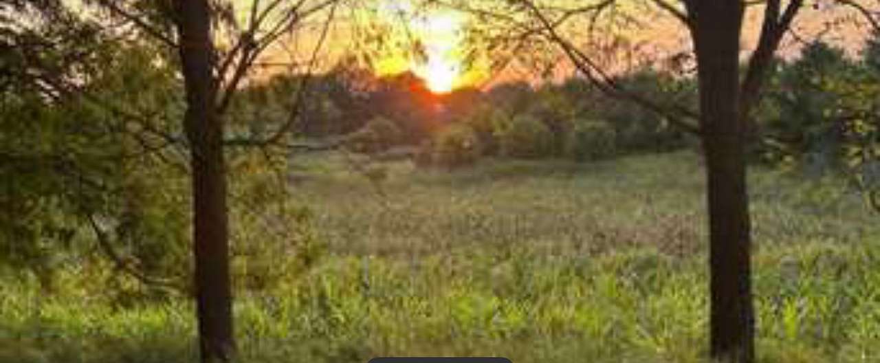 Wildlife-Water-Nature Sanctuary