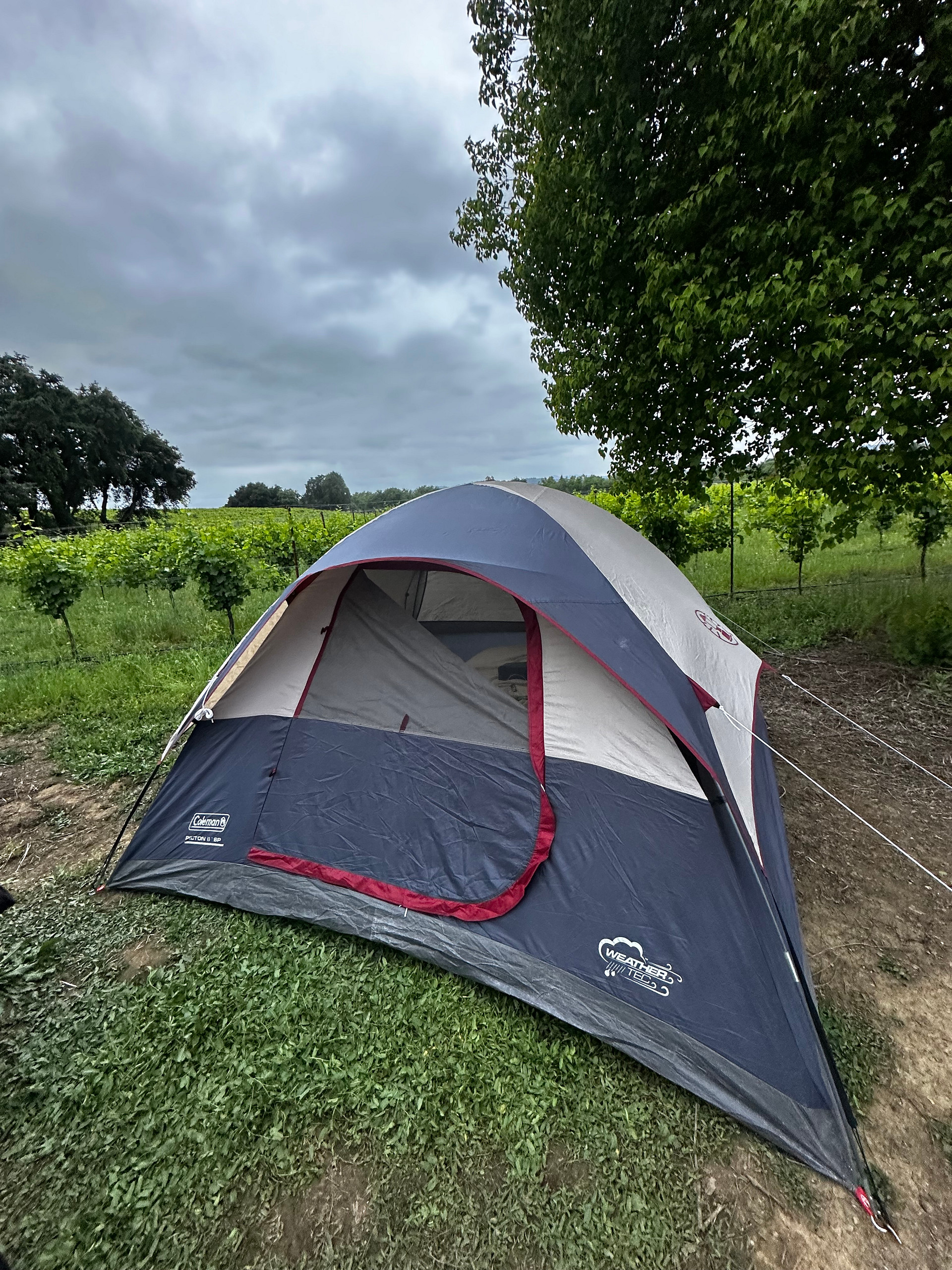 Barn Side - Site 3 -91C