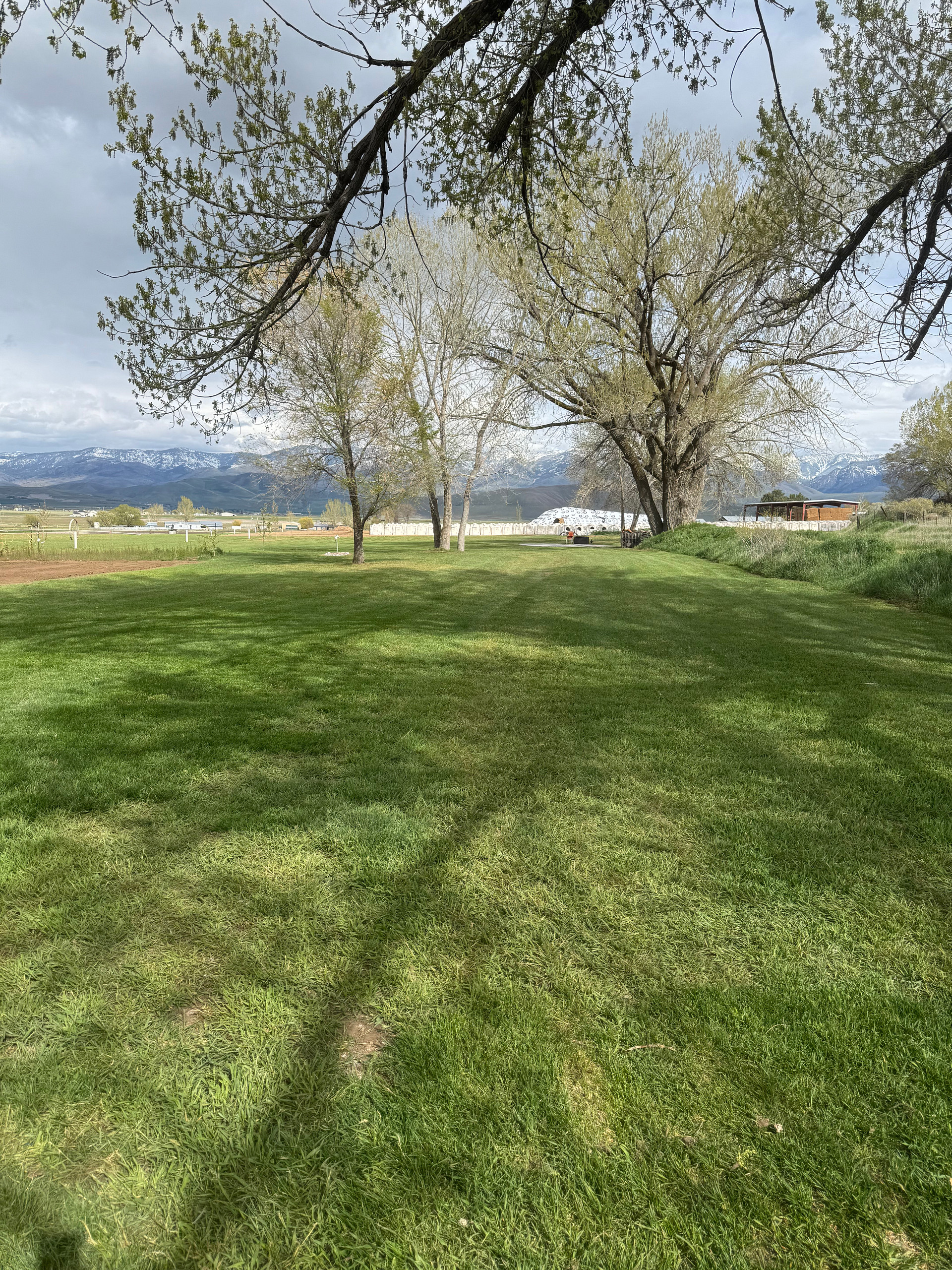 Rosebud Ranch