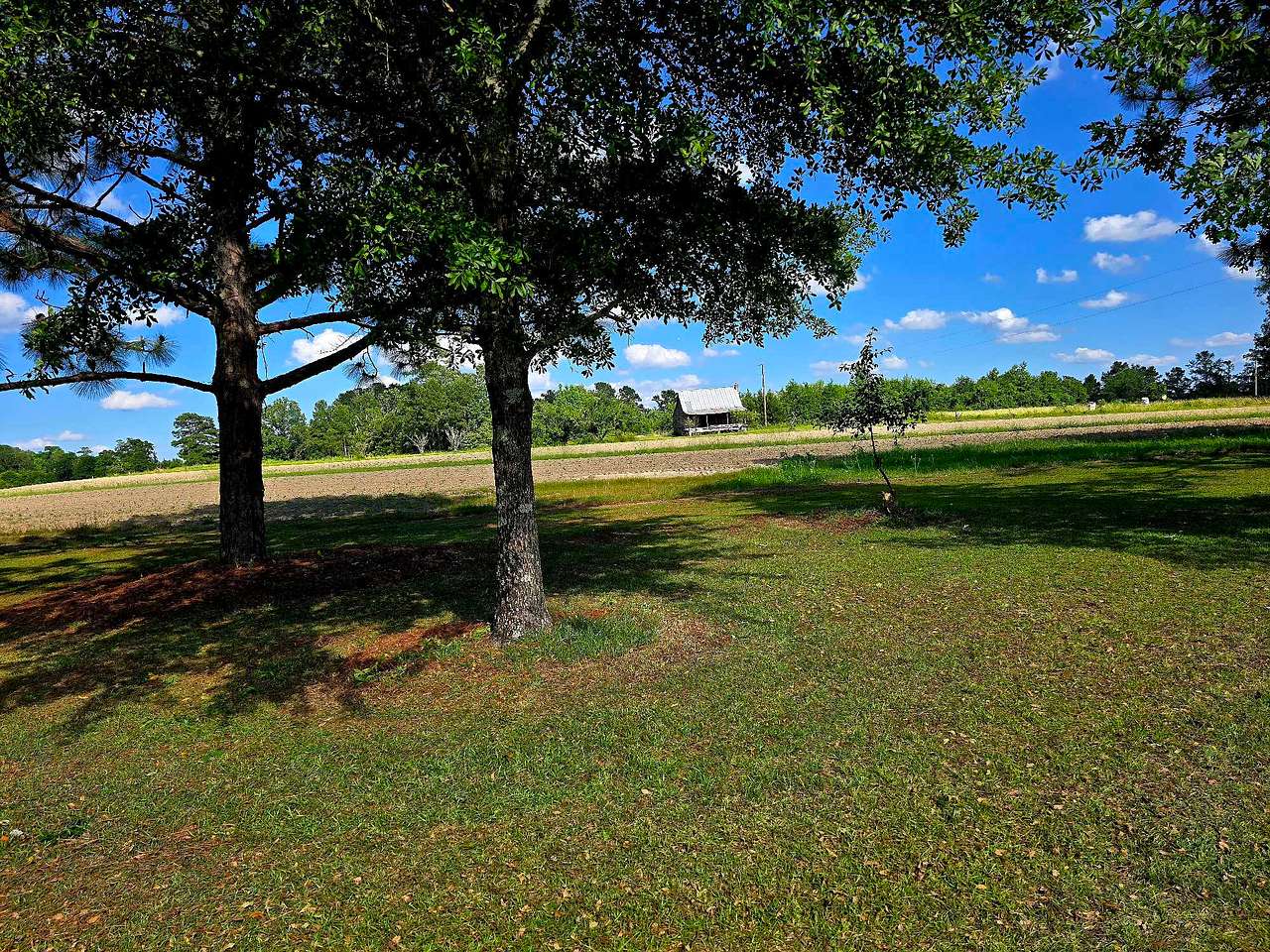 Pilson Acres Farm Stay