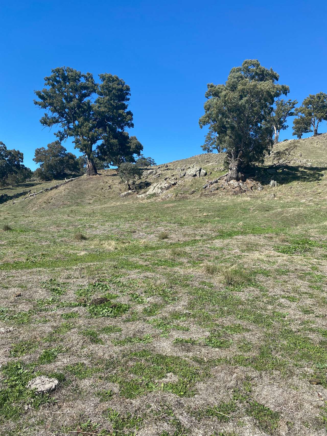 Rocky Valley Barossa Hideaway