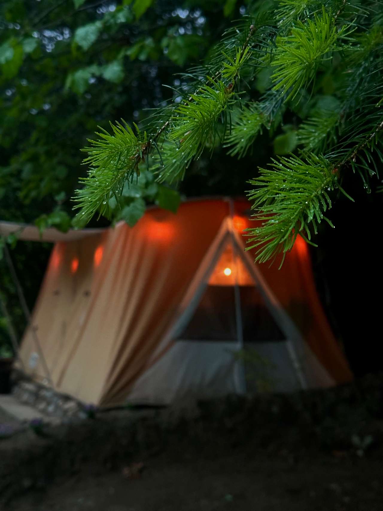 Secluded Riverfront Camp: 12 Acres