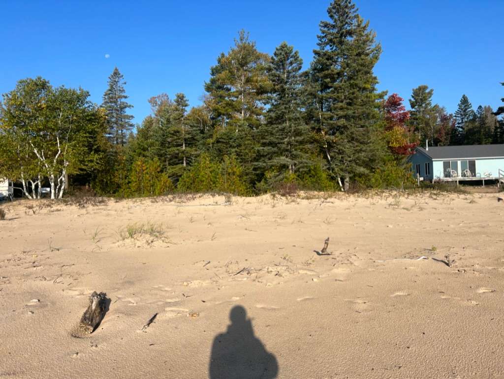 Pinecone Beach