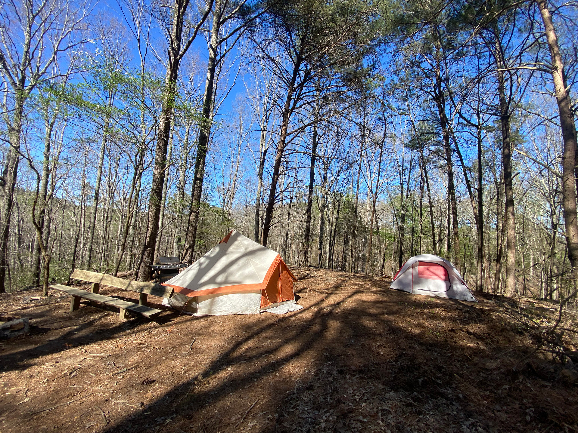 Campingallstars