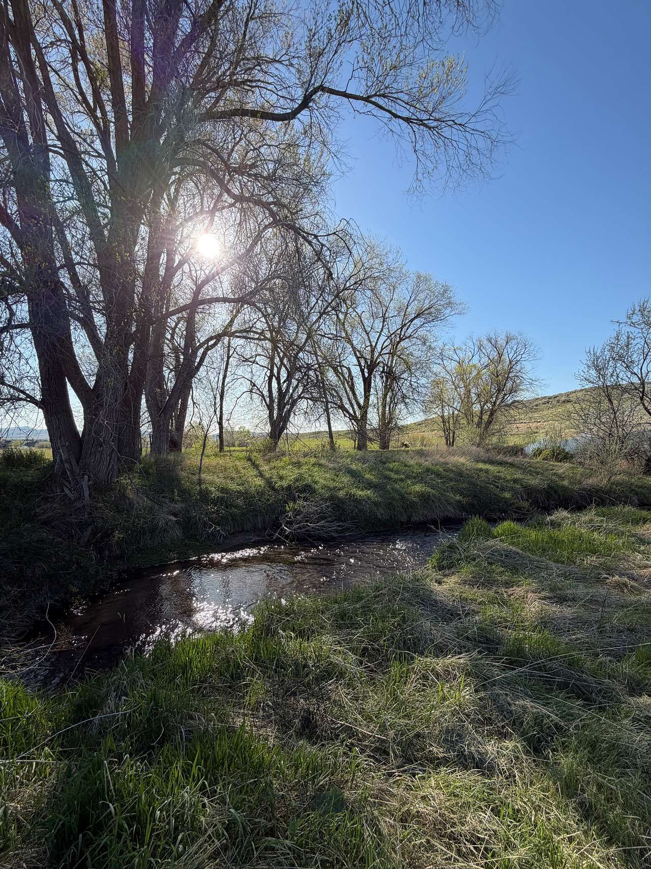 The Horseshoe Bend on Rock Creek