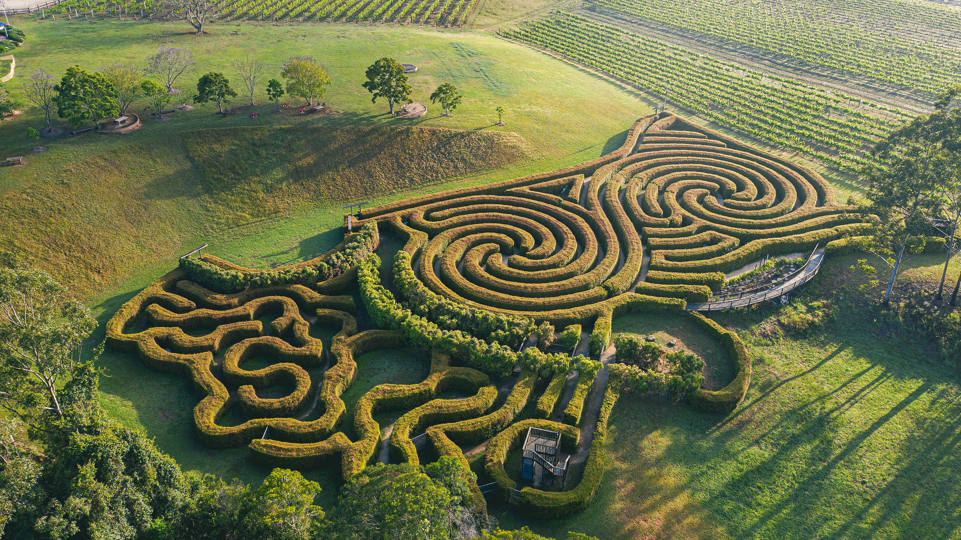 Bago Maze & Wine Mountain View Camp
