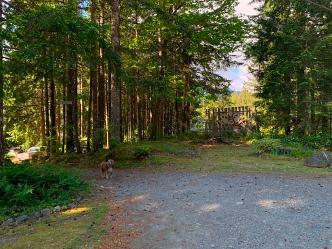 Look for this big wooden lotus sign at the roadside and drive down the right side of the loop driveway.  Thats Willow, she barks to let us know you are here, but she wont bite.