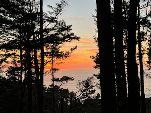 Private Ocean View Among the Trees