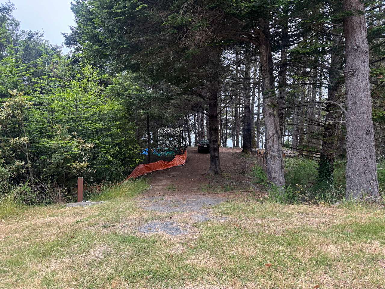 Private Ocean View Among the Trees