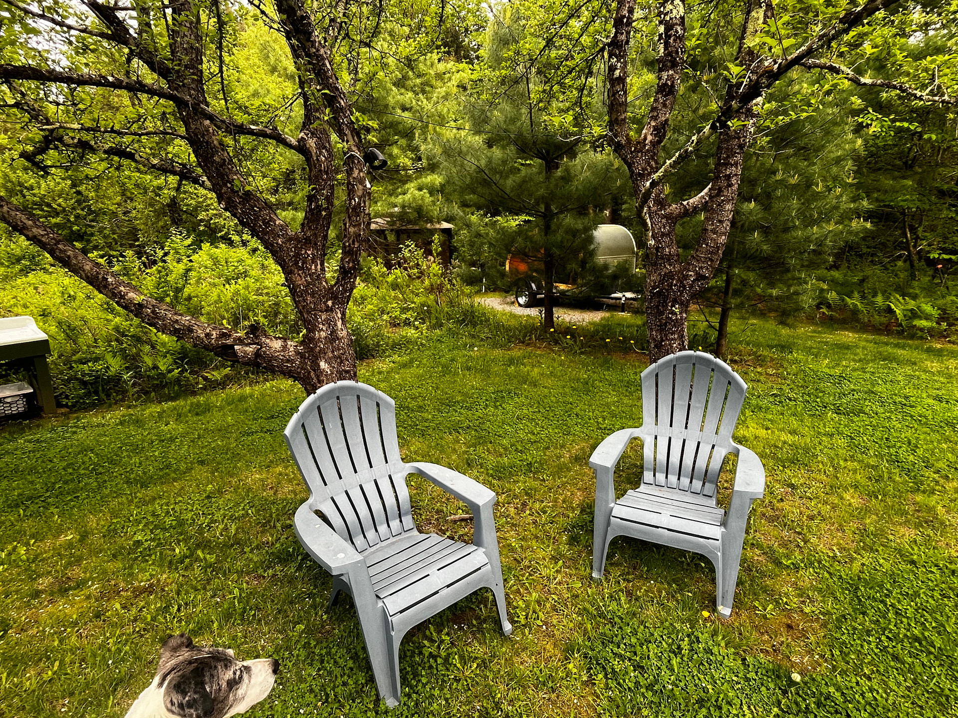 Abbott's Vermont luxury glamping