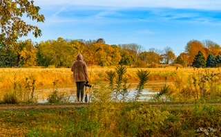 “Fox Creek in peak autumn — a favourite spot for photographers and nature lovers.