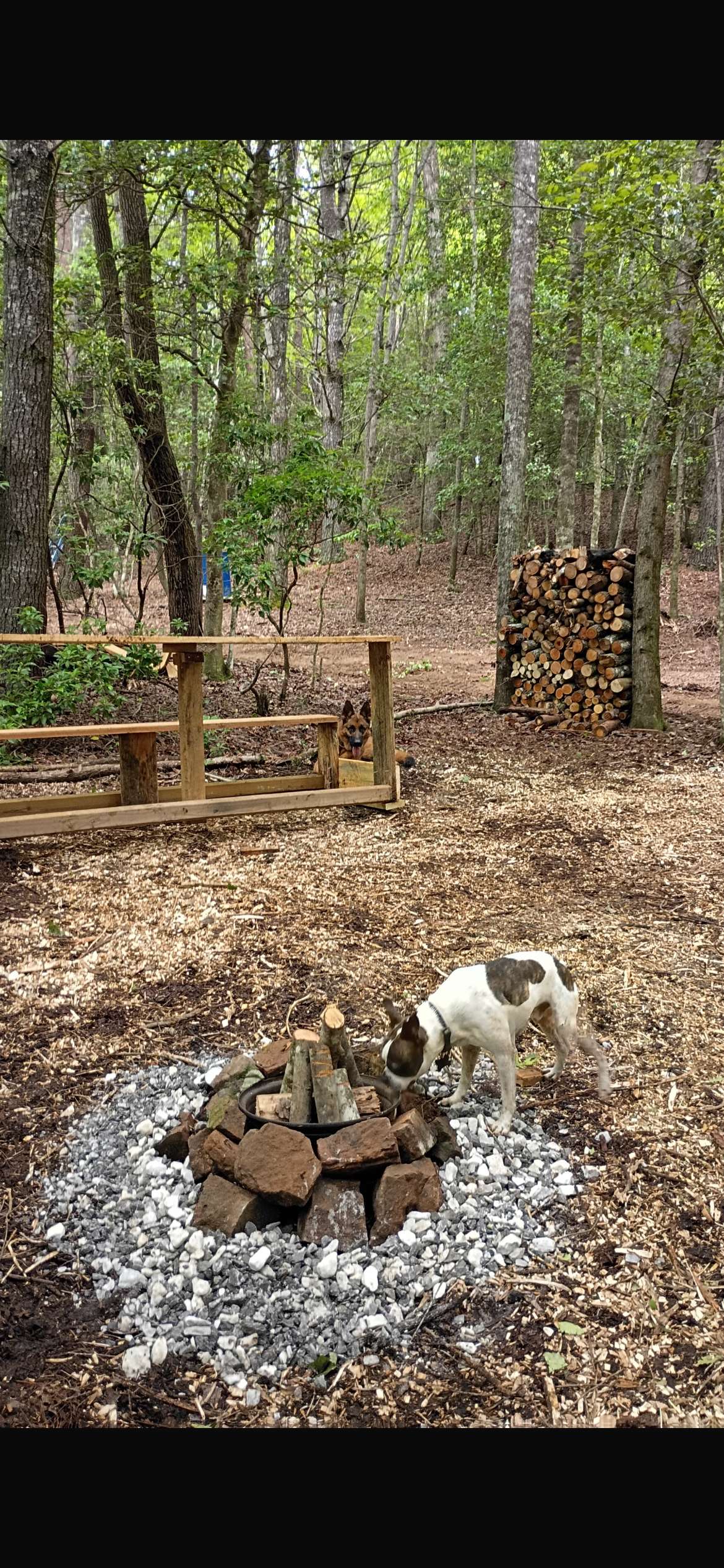 Salty Pines Hideaway