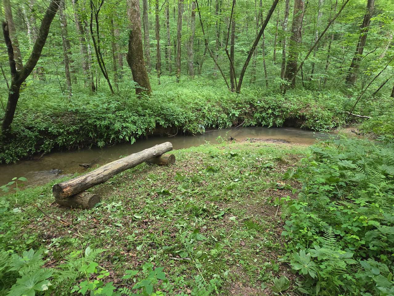 Beech Bottom Camp