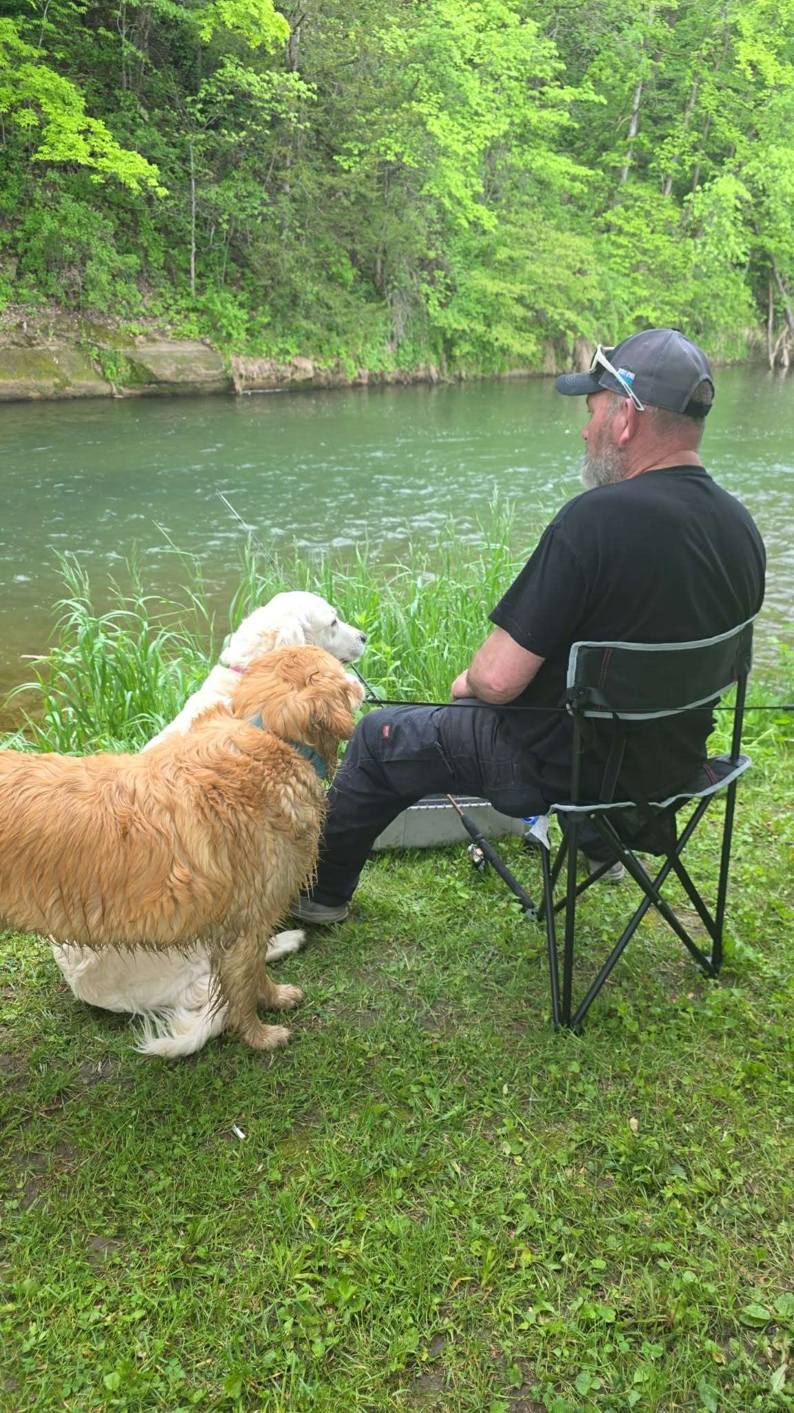 The Driftless Willow
