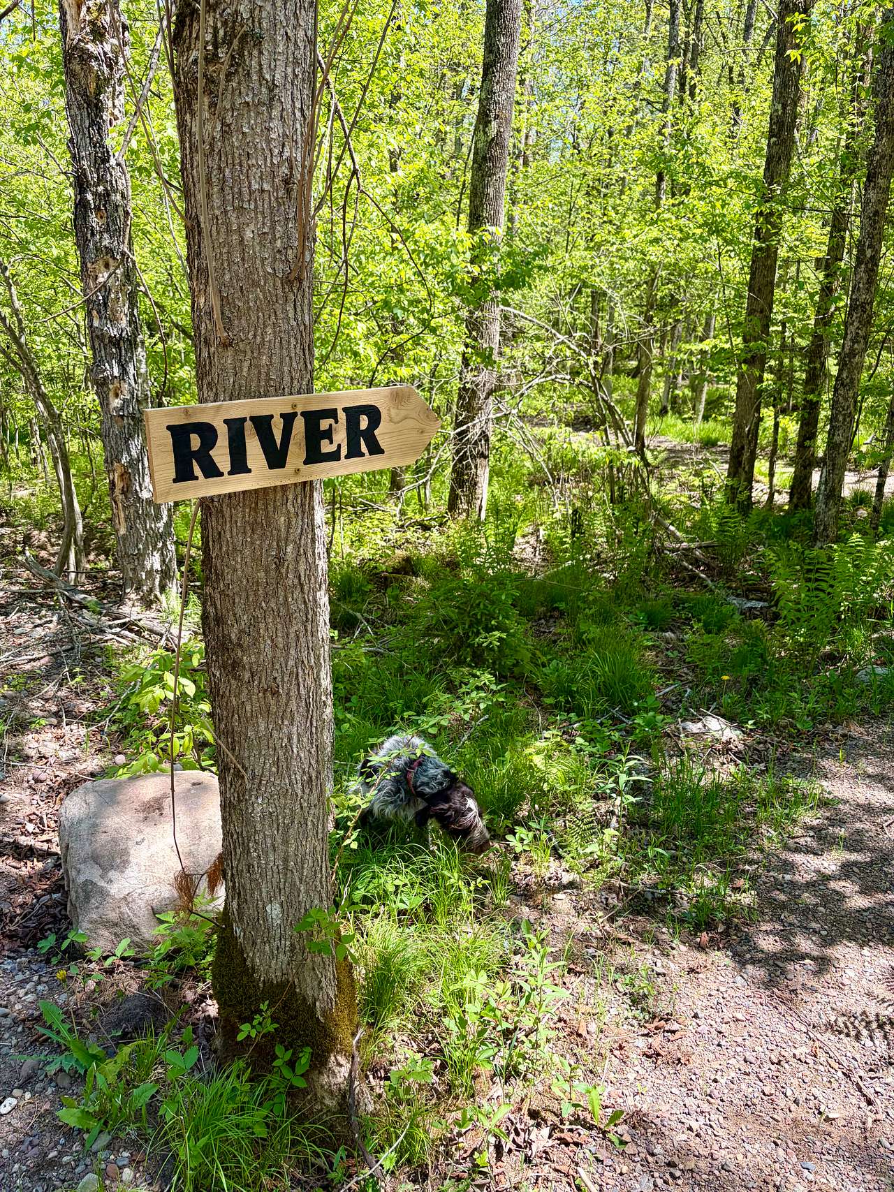 Wanderlust Riverside Camp Site