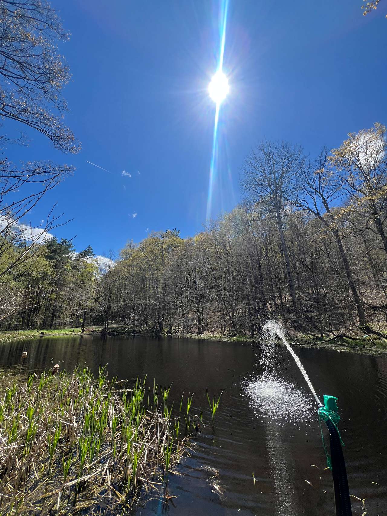 Bring your kayak or canoe for the pond, or one of the lakes!