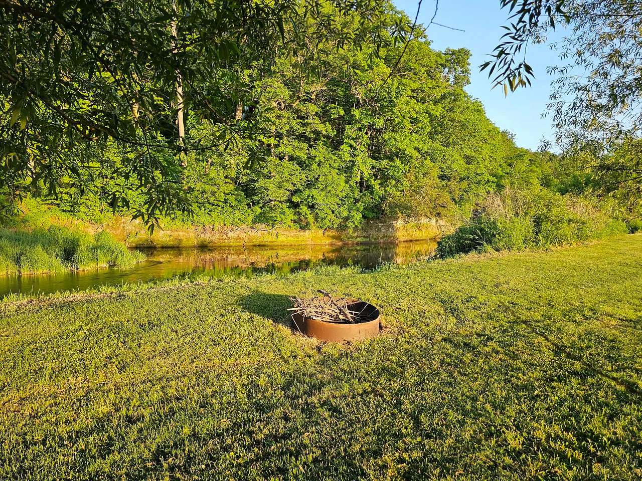 The Driftless Willow