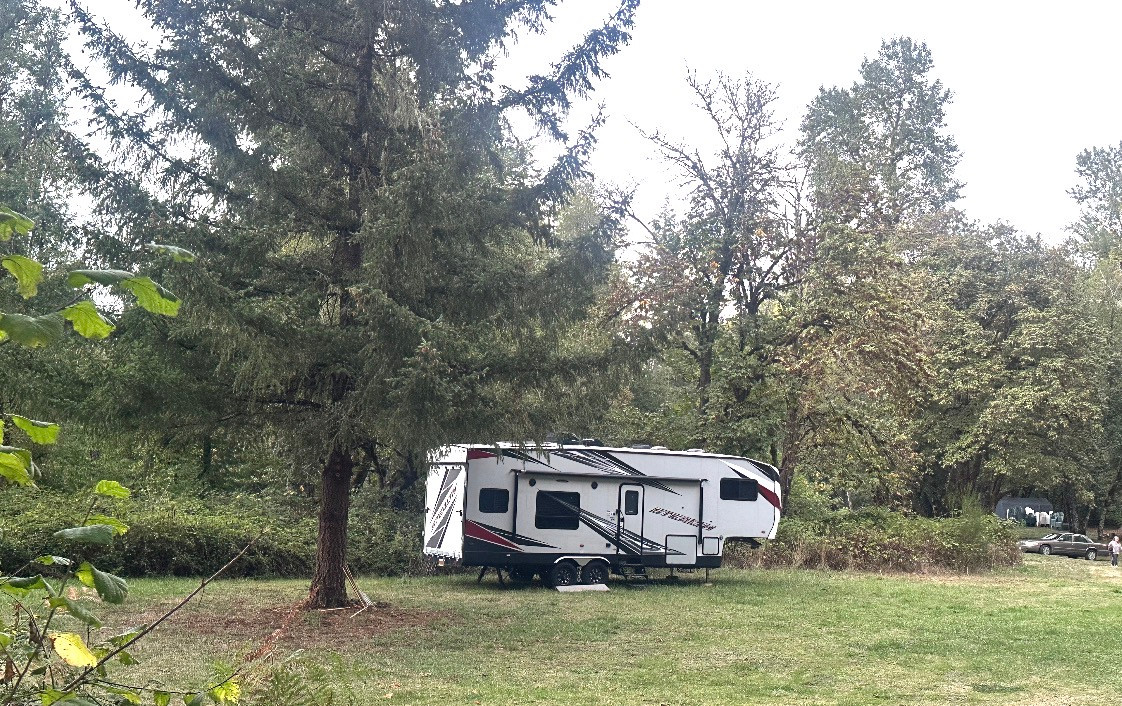 Paradise on Mill Creek