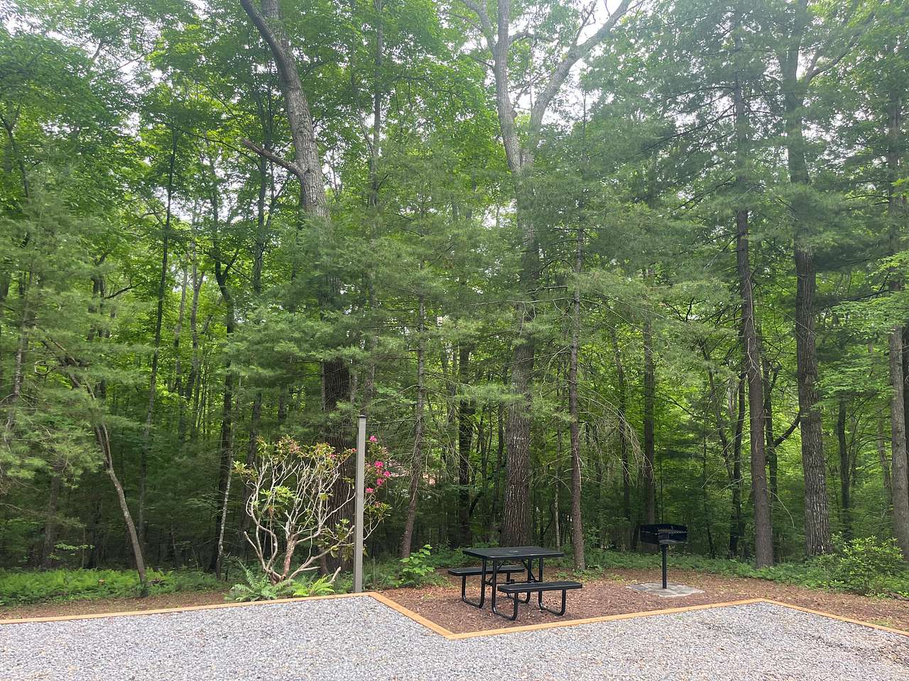 Unknown Ridge Campsite