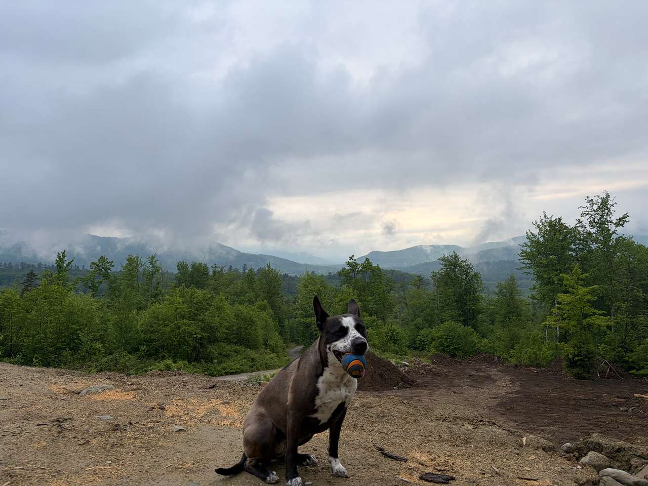 Bring Friends, Stay for the View!