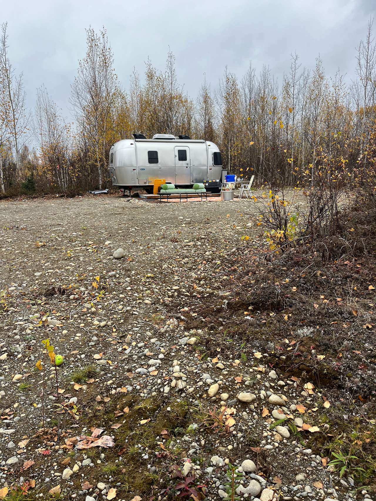 Big Lake Birch Bend