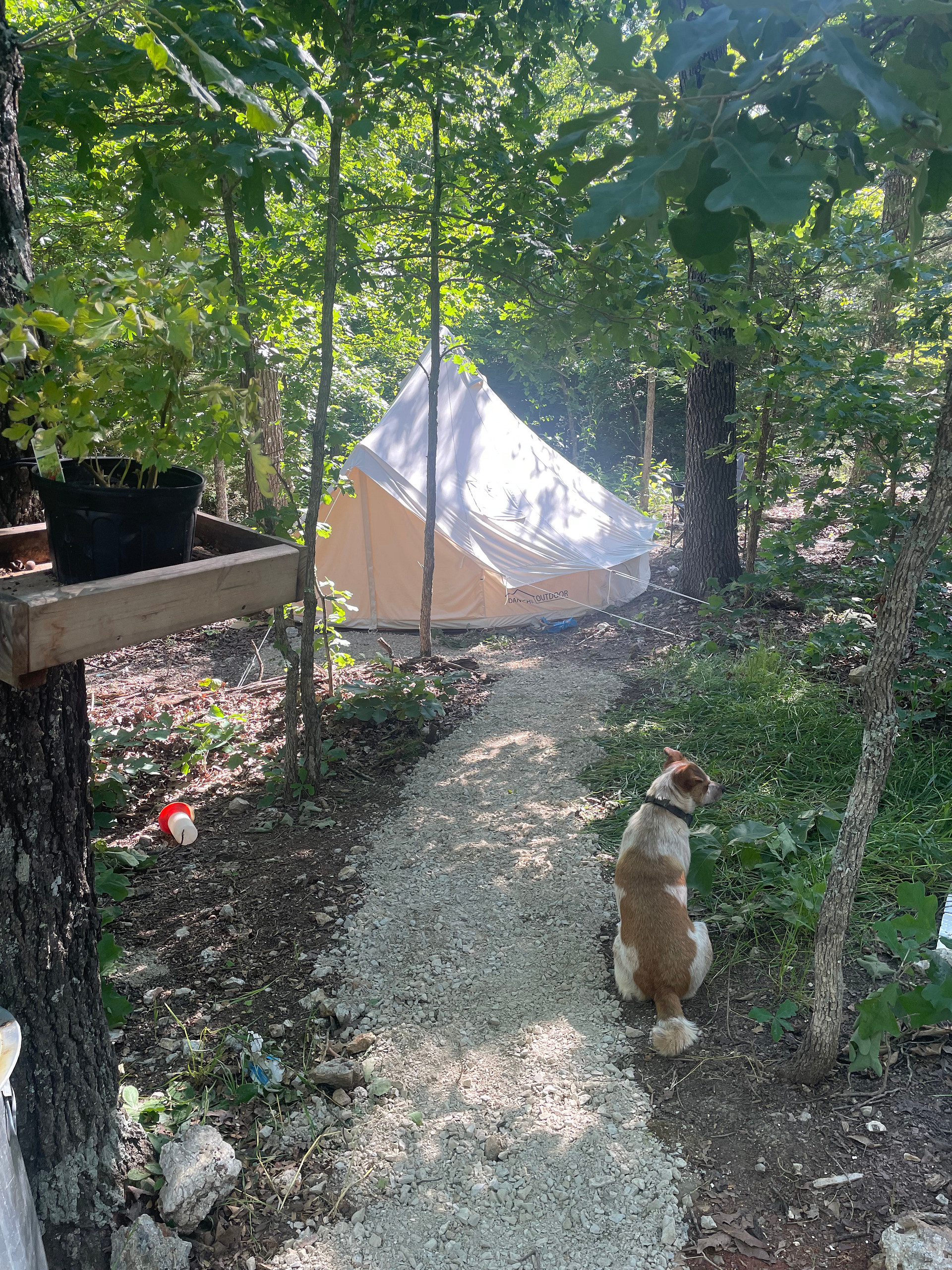 The path leading to the Bell tent 