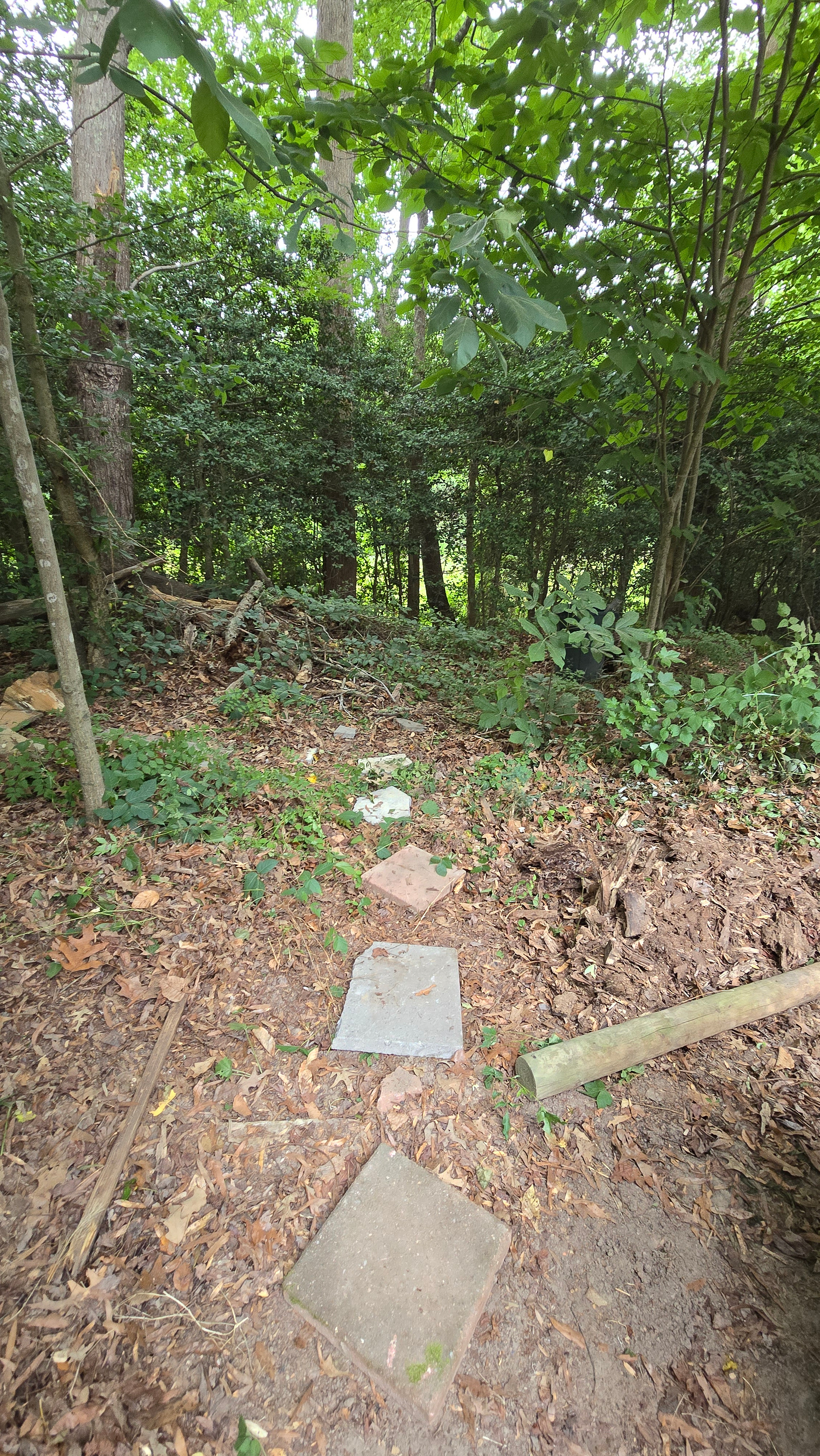 The Pavillion at Mill Run