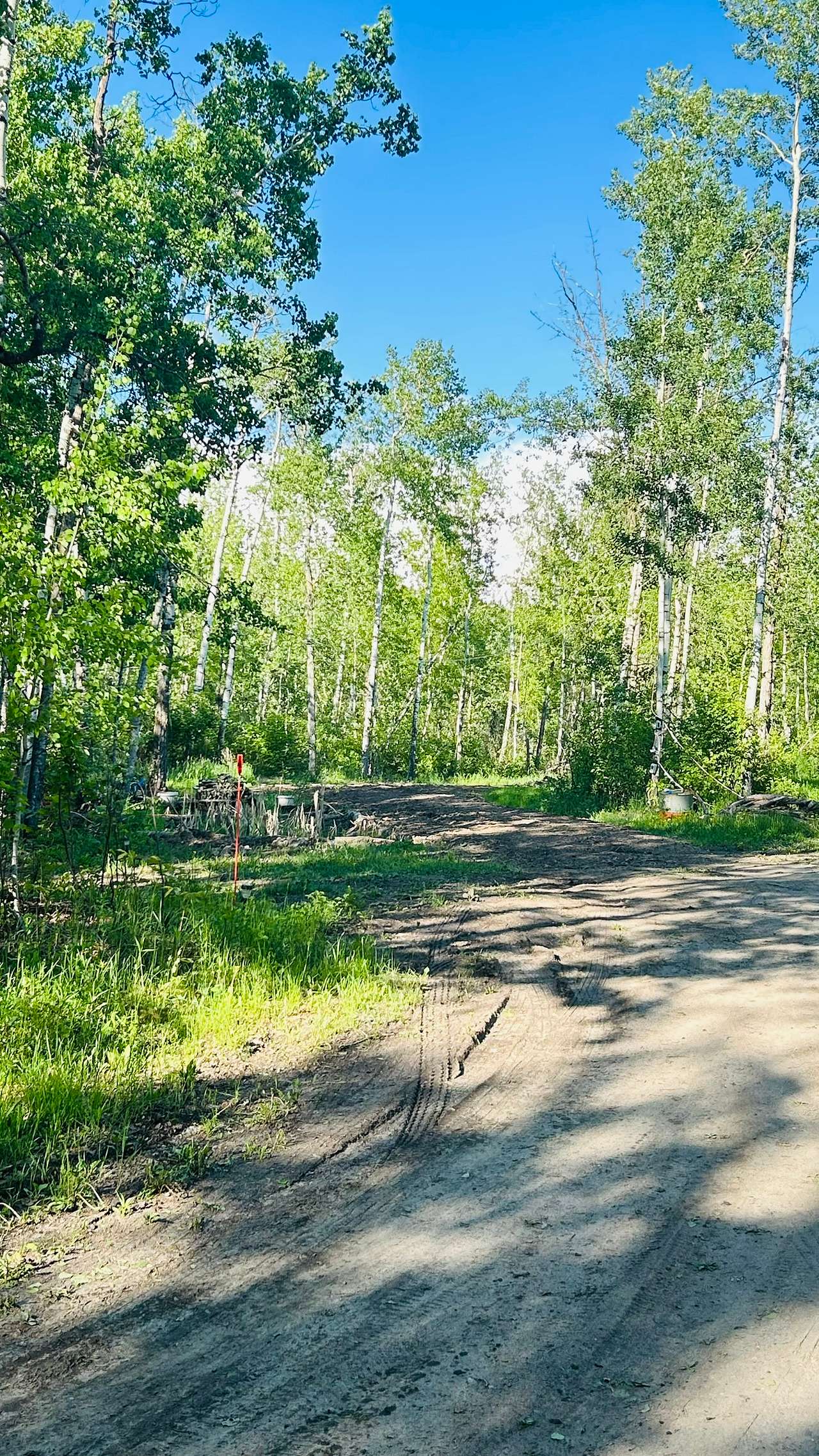 Halfmoon Lake, Forest and Homestead