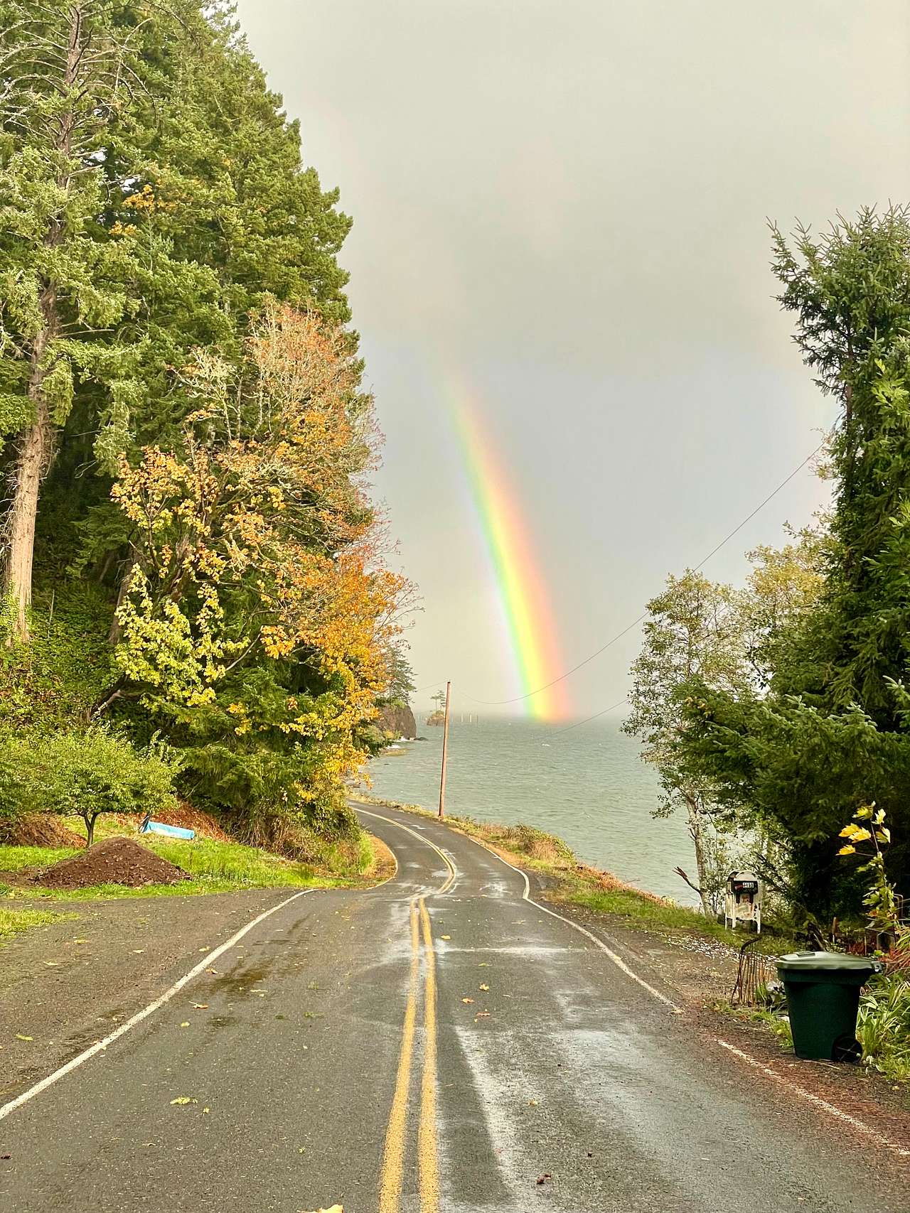 Otter Cove