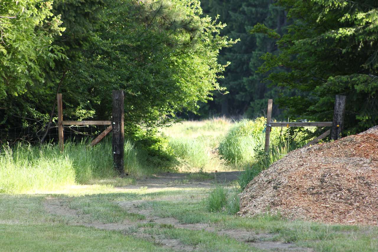 The Rustic Roost in the Meadow