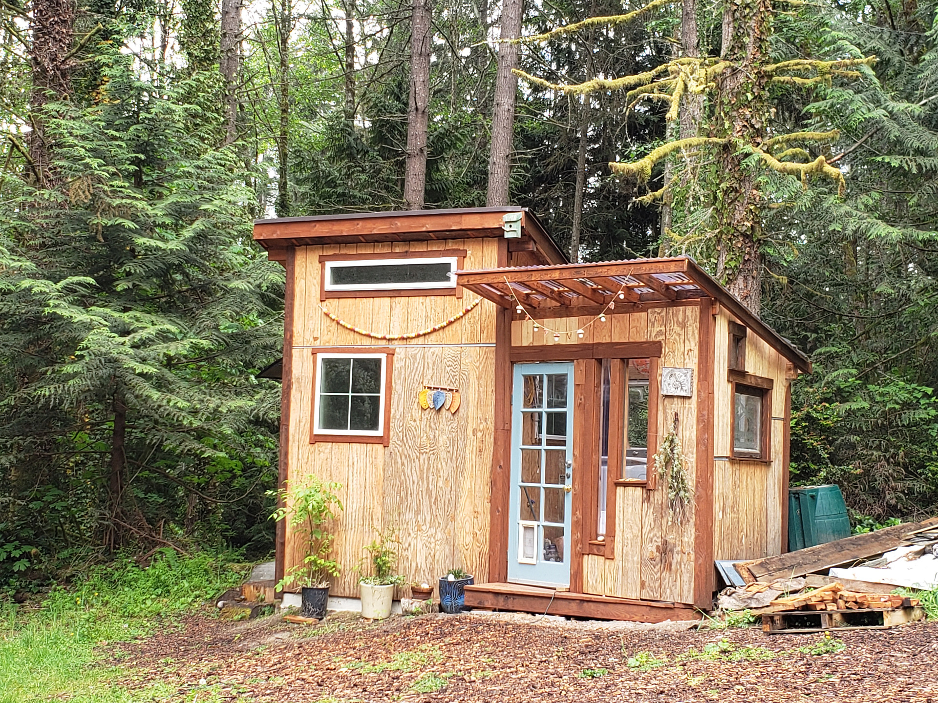 Wild Grace Forest Retreat