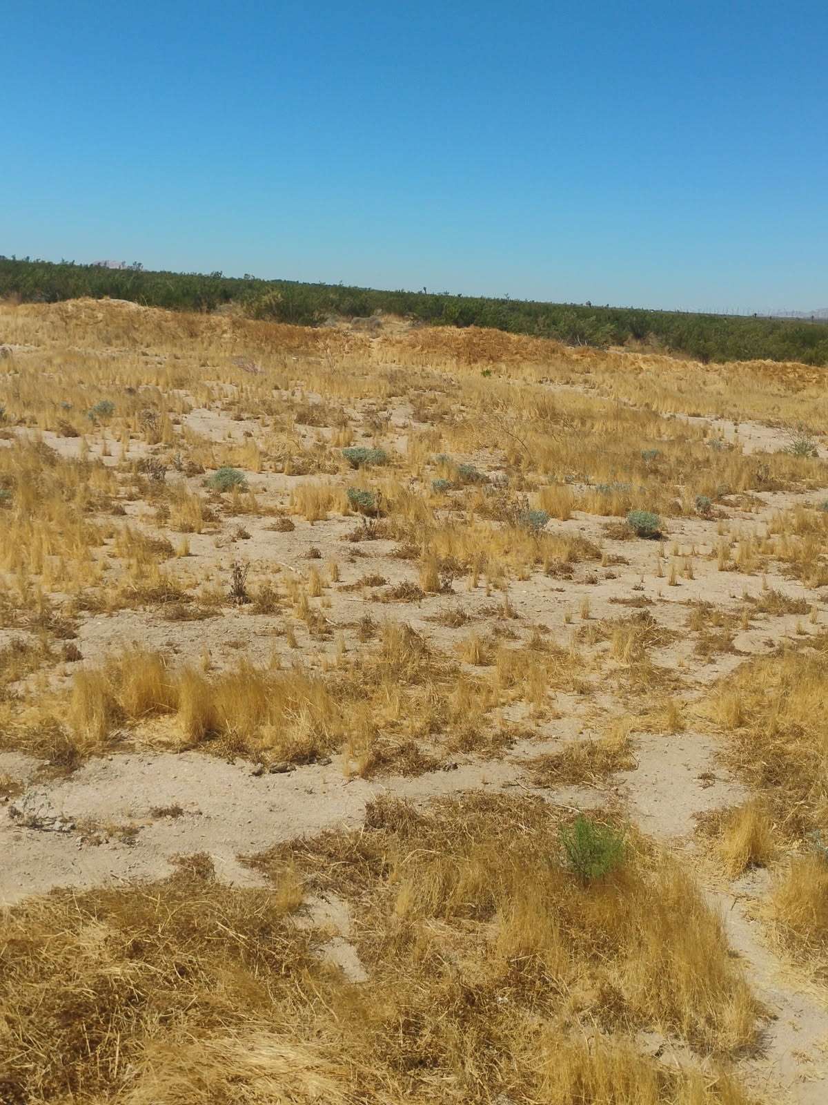 Highway 14 North farm