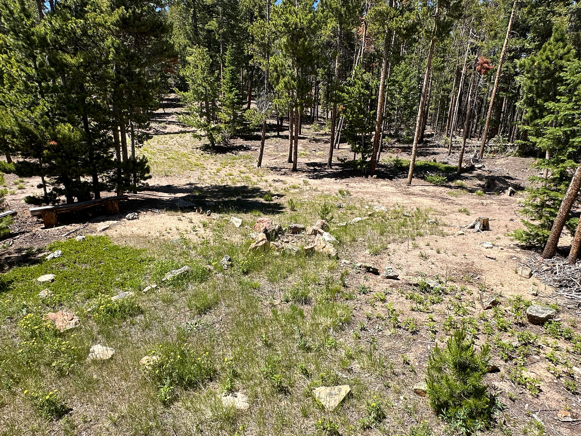 Communal Fire Pit and Medicine Wheel