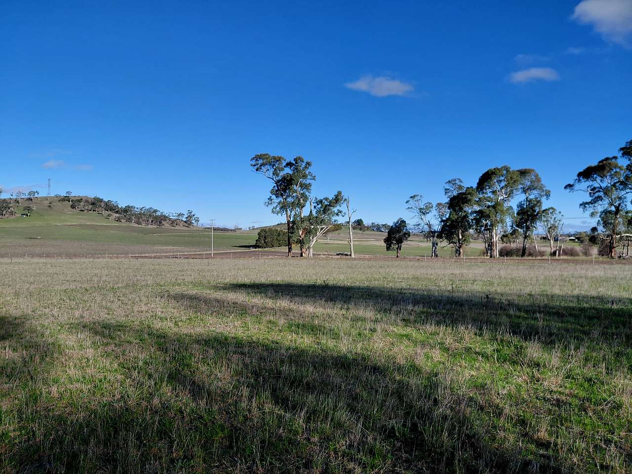 Pleasant Pastures