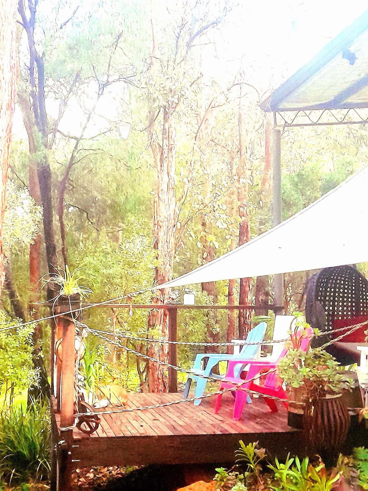 Amaroo Bush Retreat Caravan