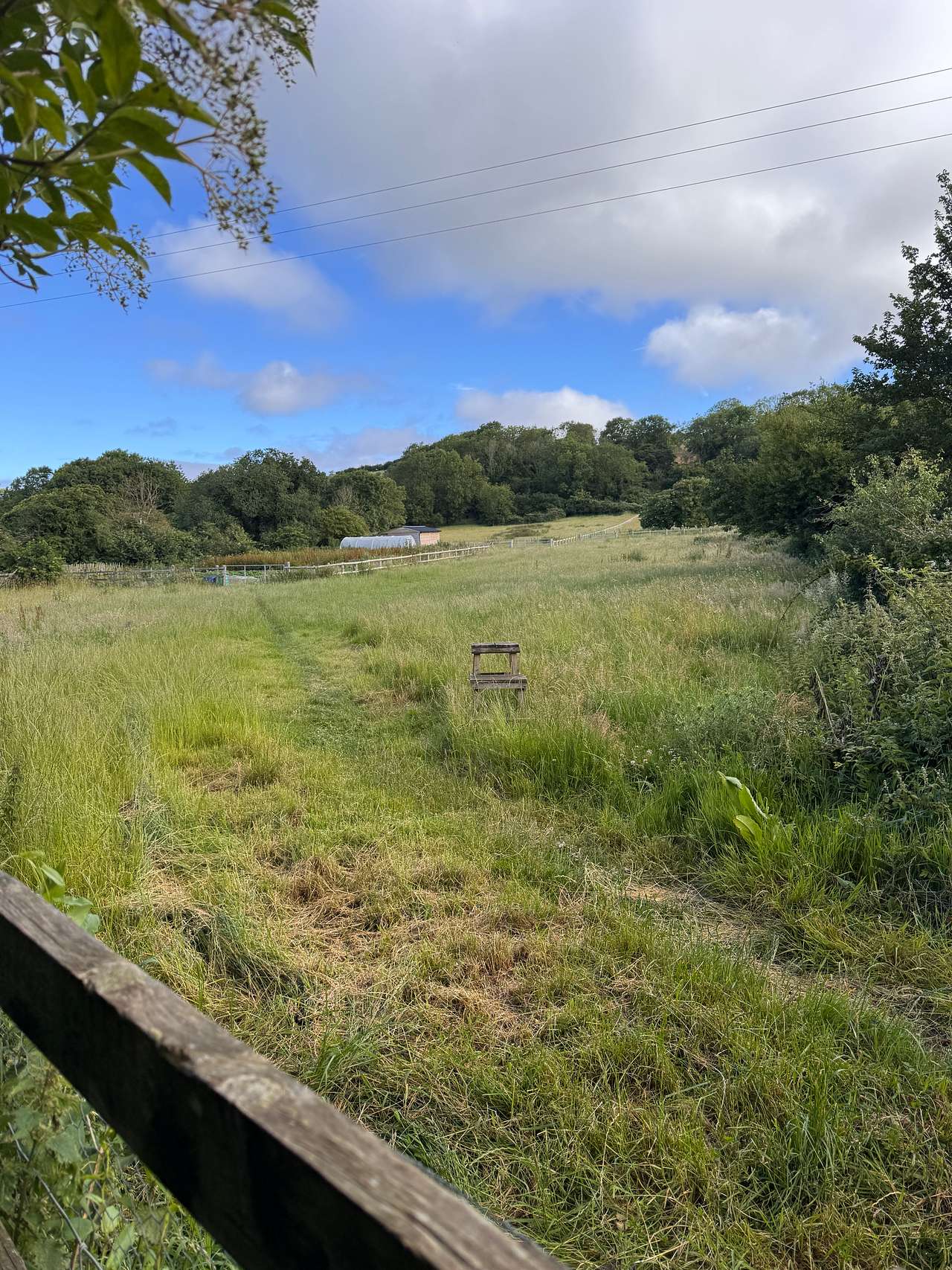 The Hemingway's Field + Woodlands