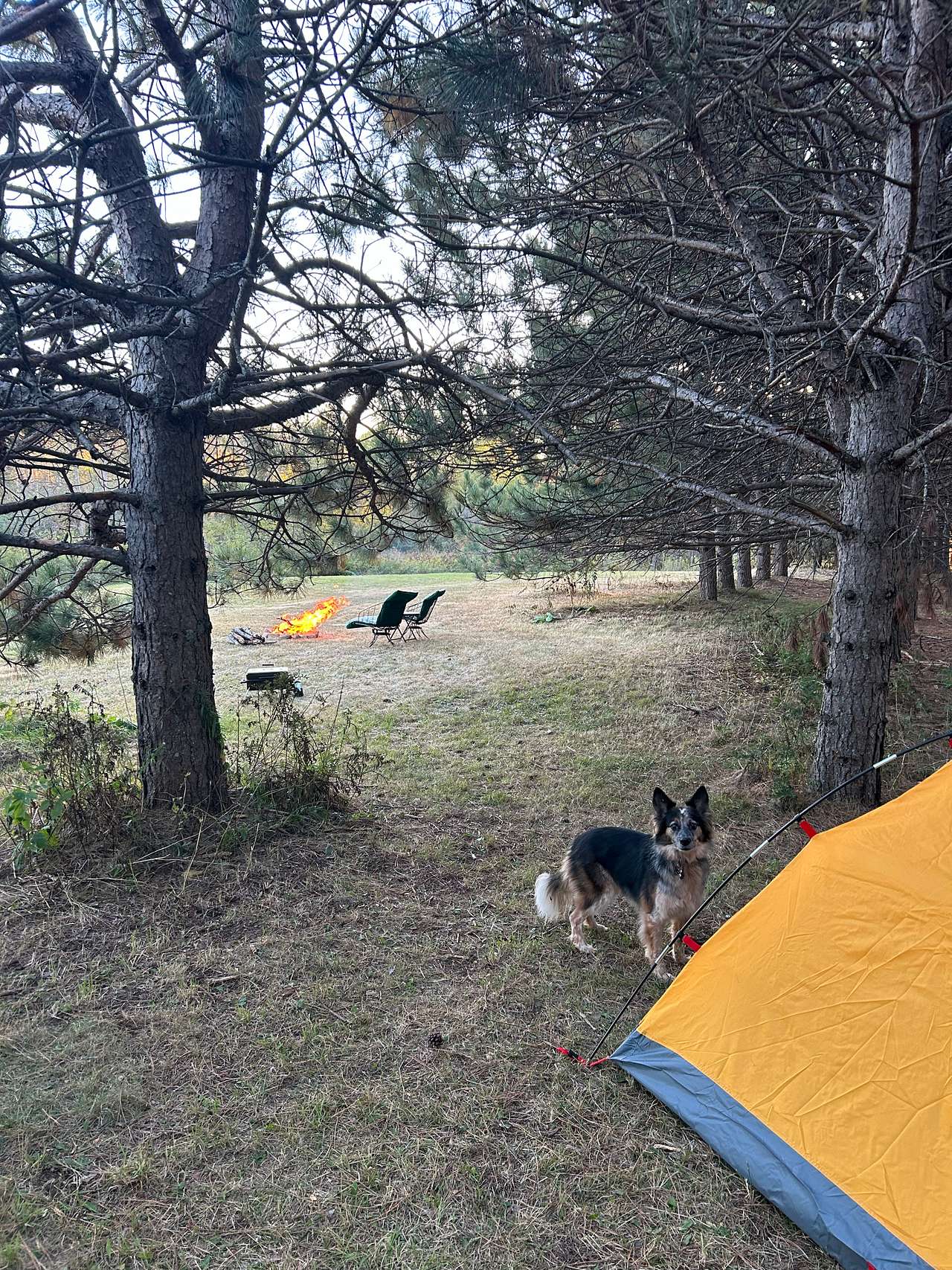 Off Grid Stargazing