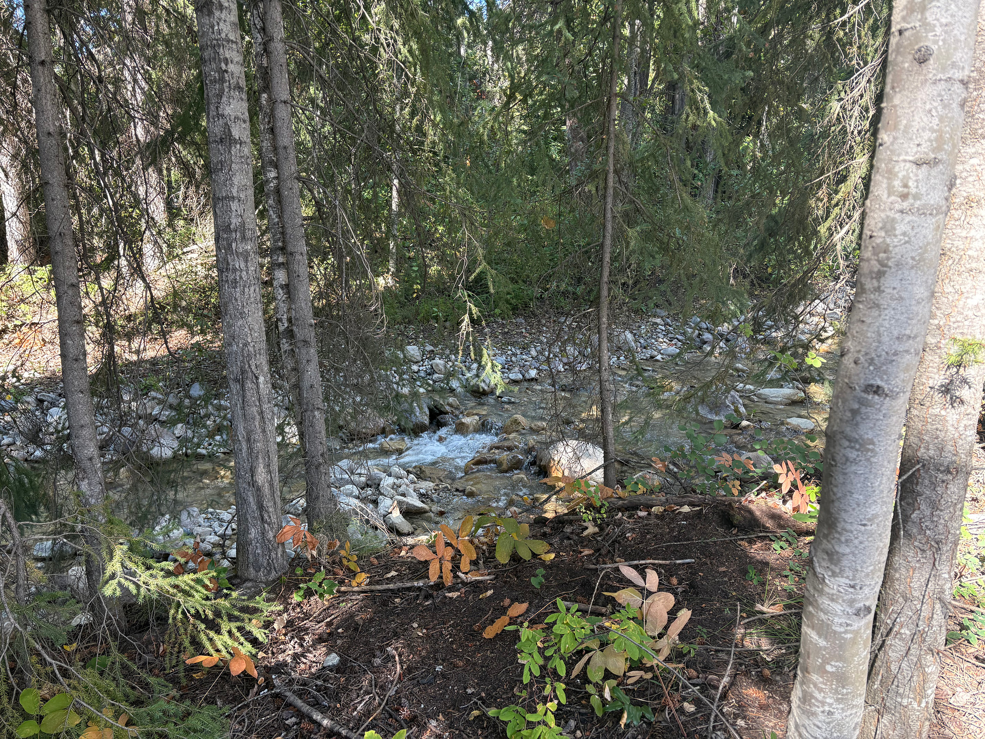 Barber On The Creek
