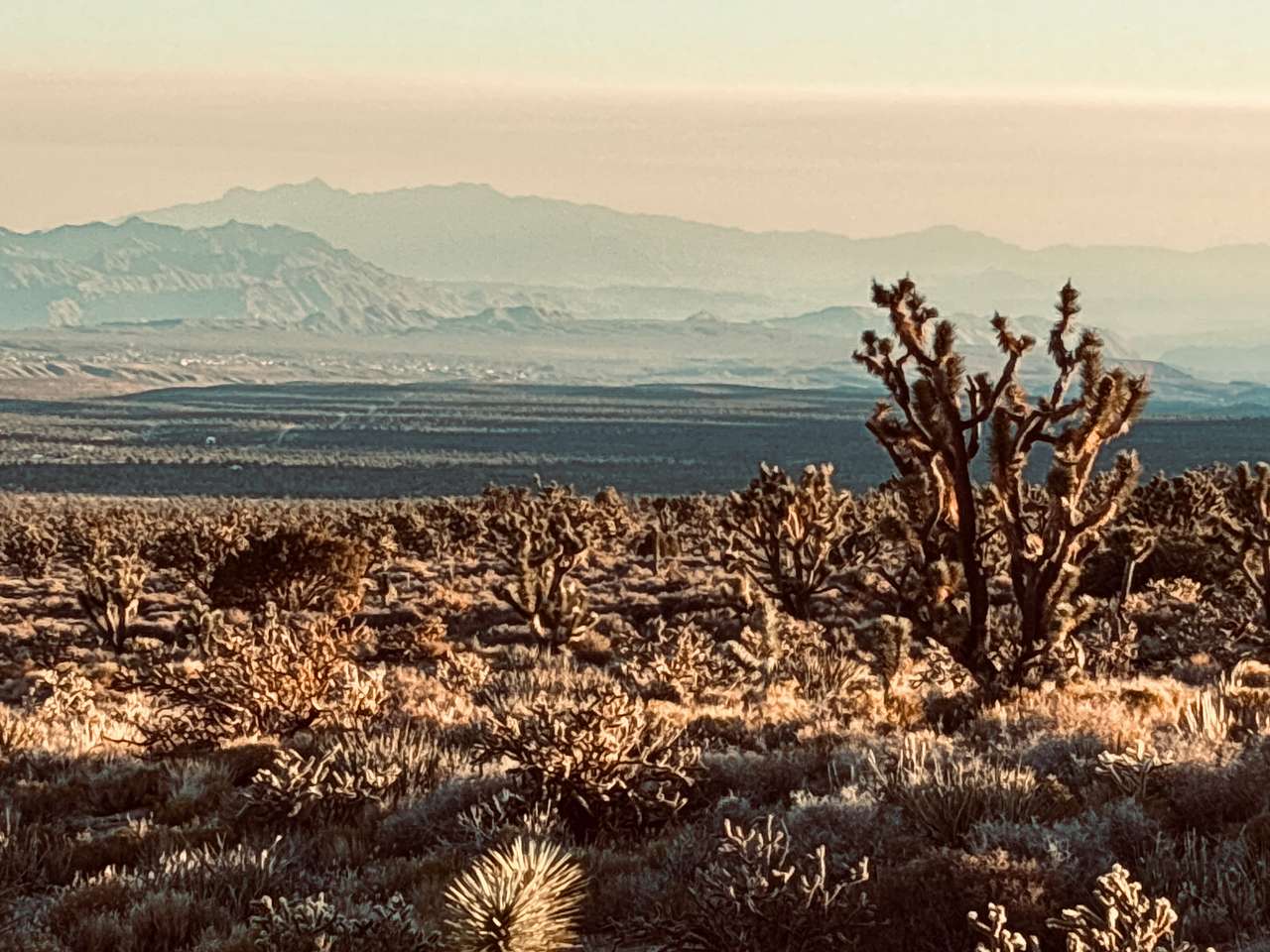 Mohave Sunset House