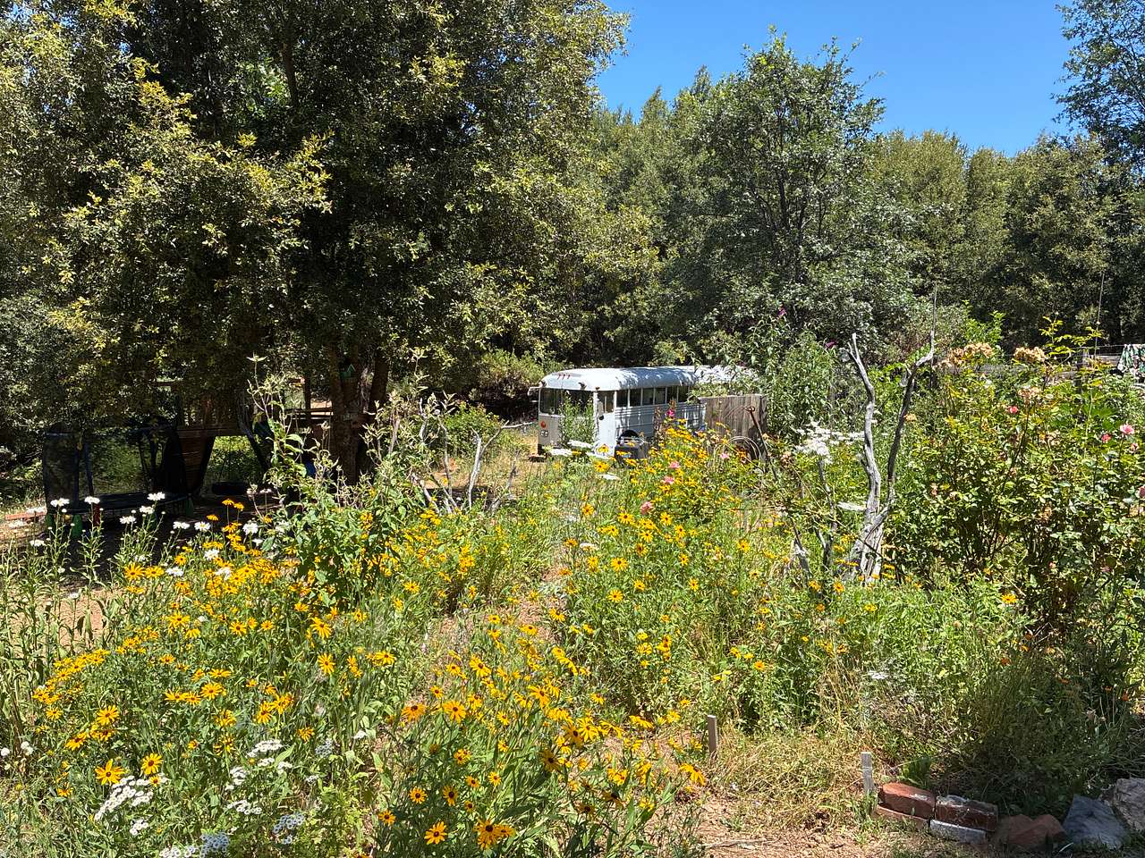 Mighty Farm & Camp 🐕💐🏕️🌅