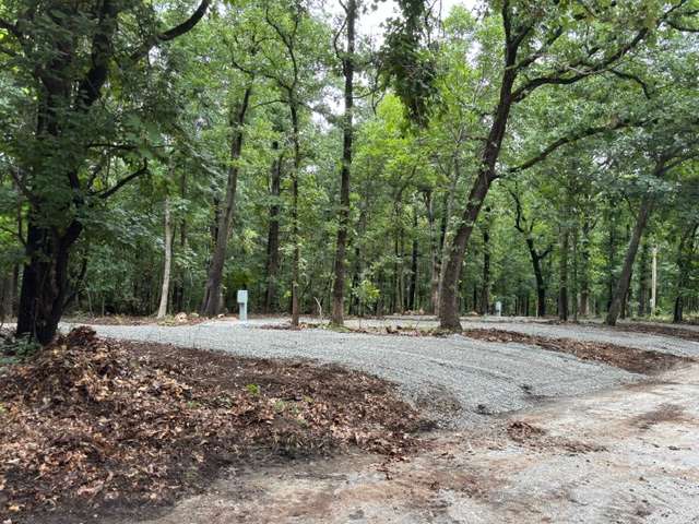 Wooded Lake Property