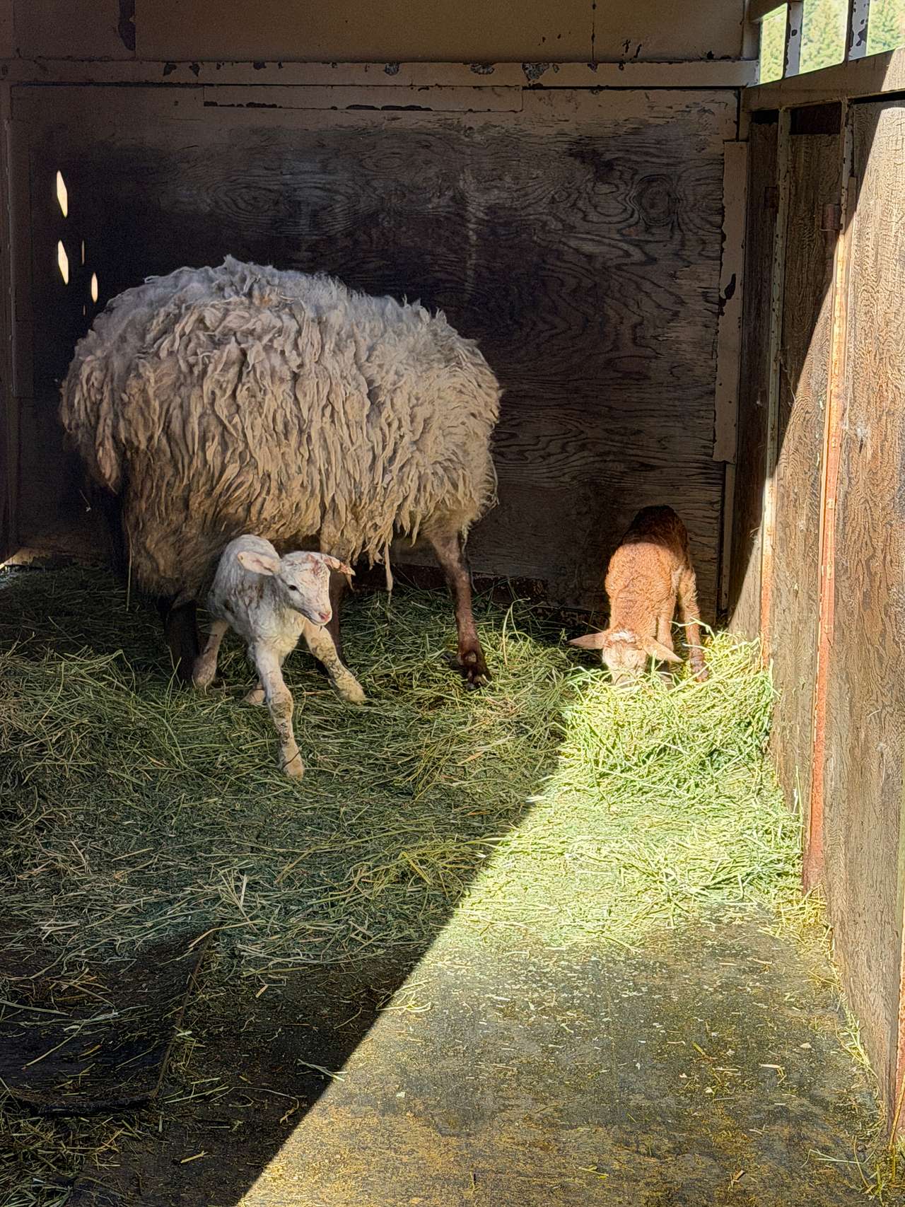 Private Camps on River & Bison Farm