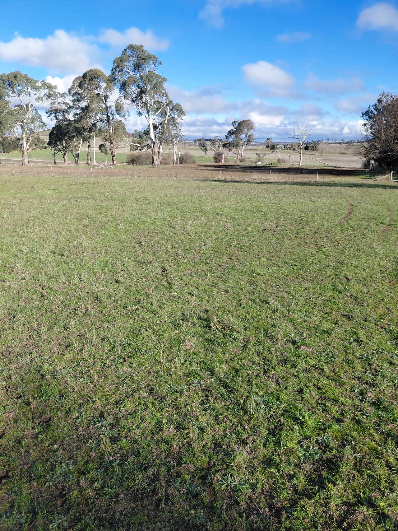 Pleasant Pastures
