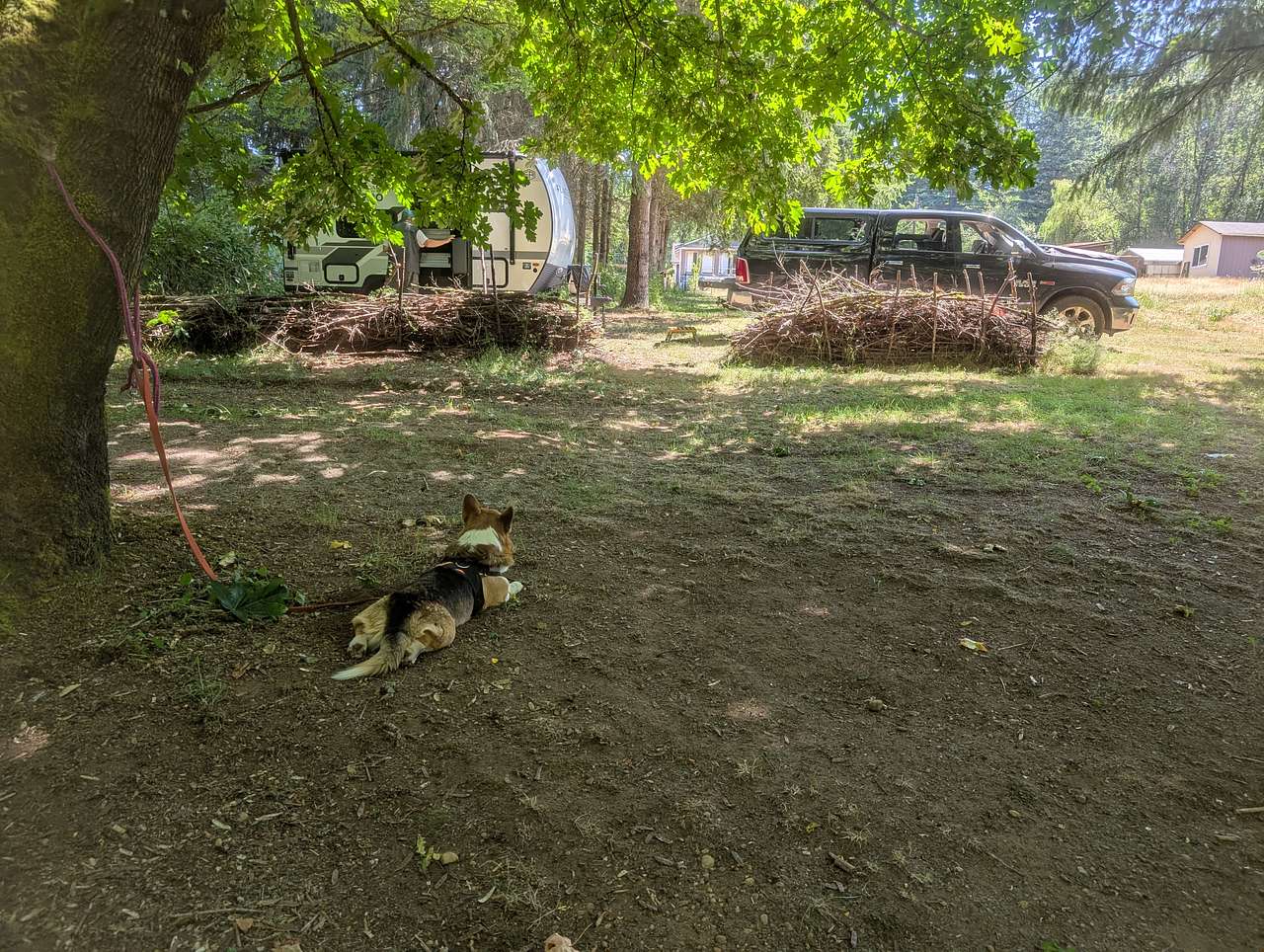Lots of shade on a hot day