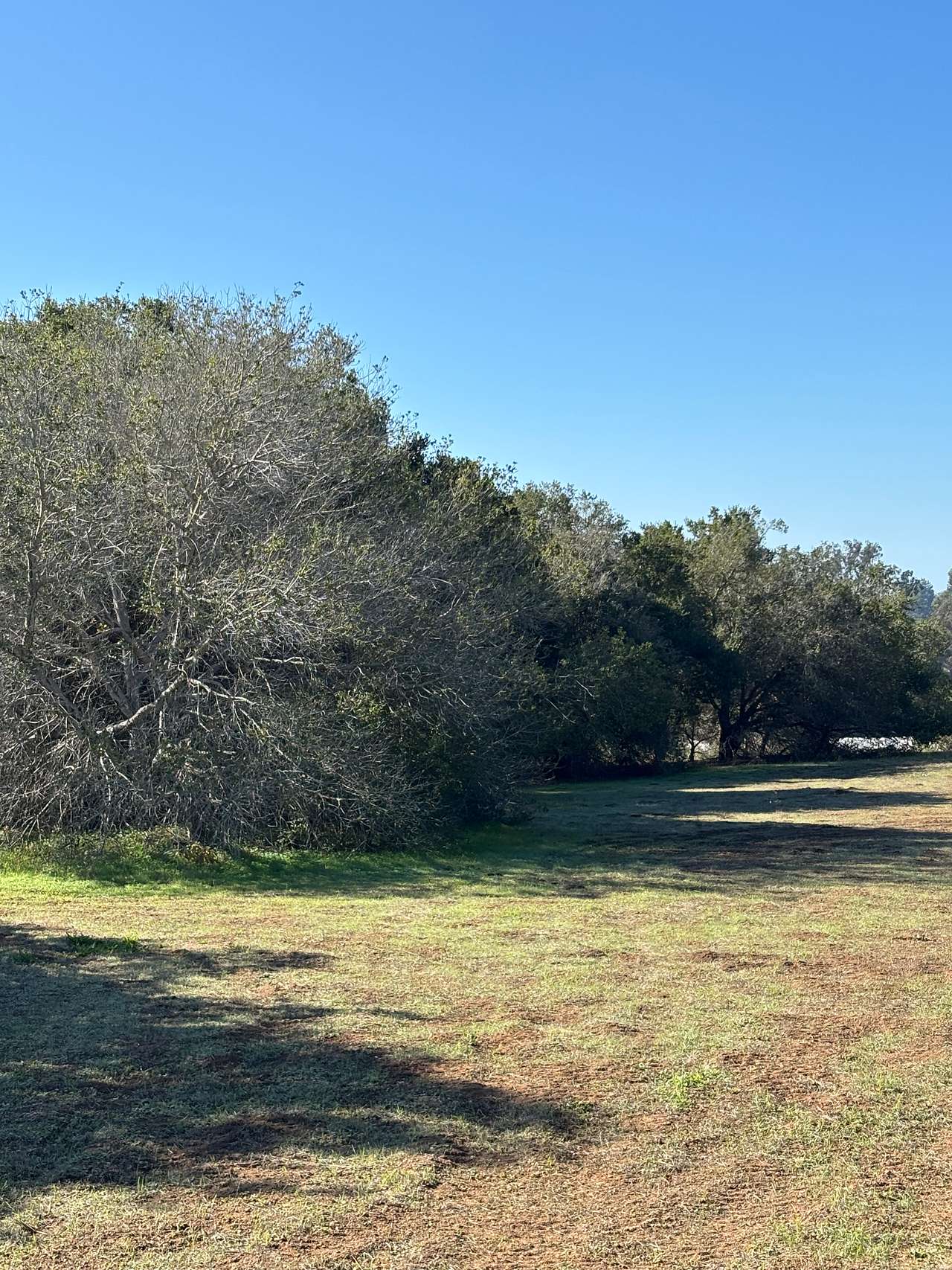Ceralde Farms