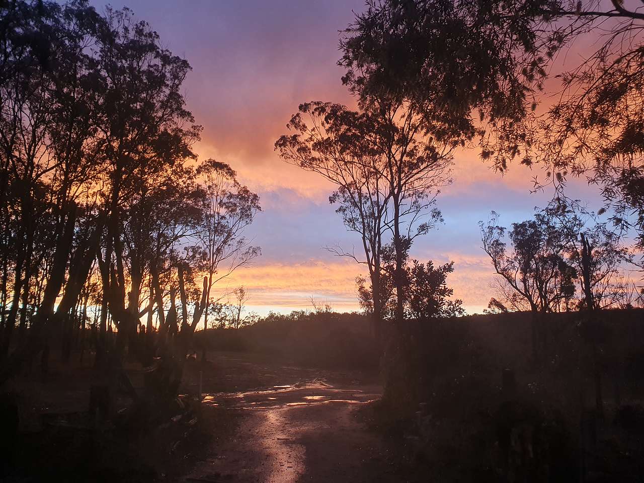 Crows Nest Paddock Camp