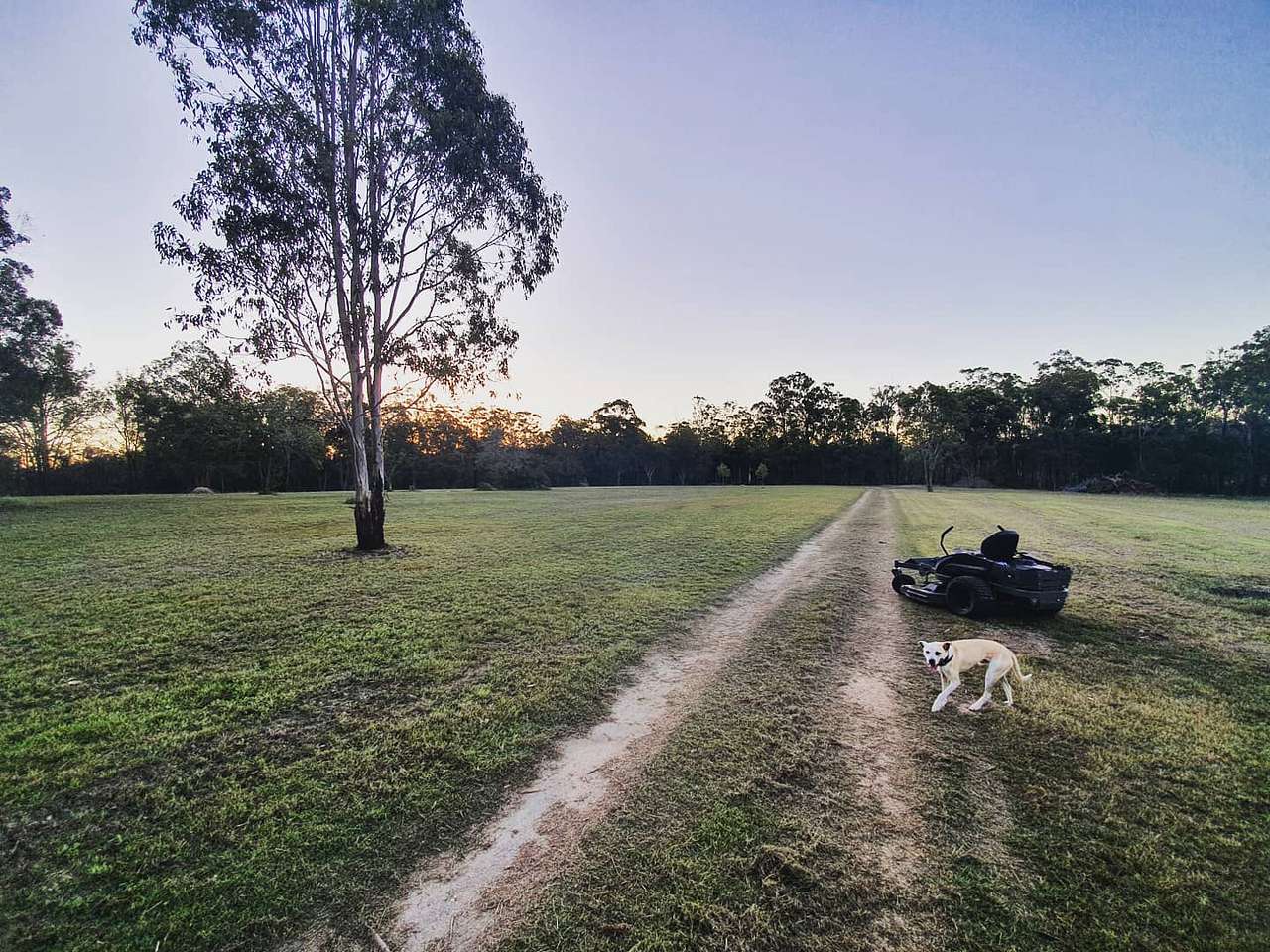 Crows Nest Paddock Camp