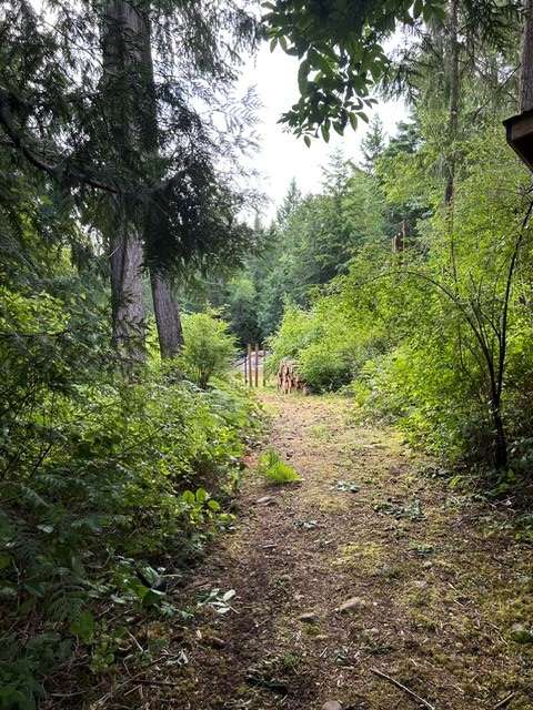 Raysong Cabin and Camp Sites