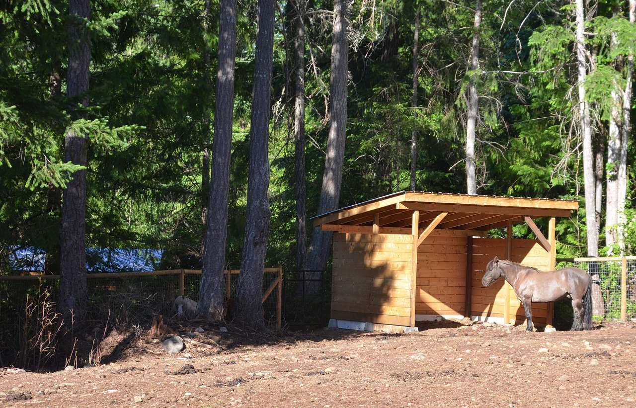 Raysong Cabin and Camp Sites